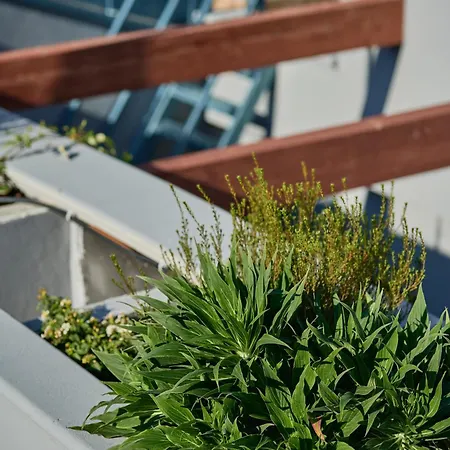 Mamaco Centro 4* Foggia