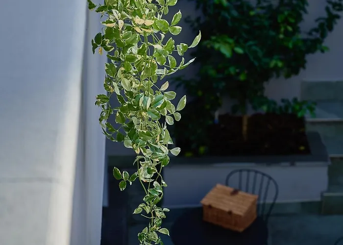 Mamaco Centro 4* Foggia